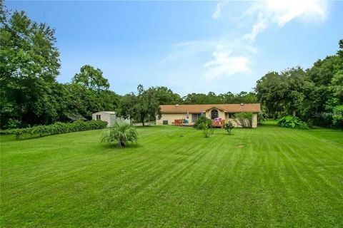Tiny photo for 17444 East Road, Umatilla, FL 32784 (MLS # G5114274)