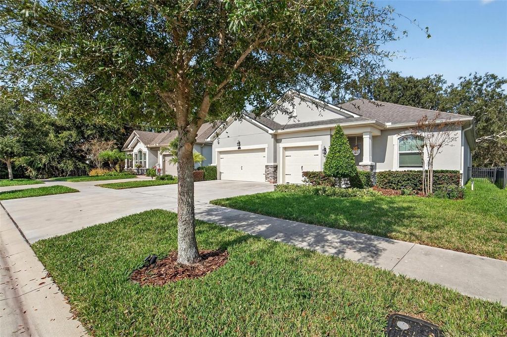 Photo of 11404 Blue Woods Drive, Riverview, FL 33569 (MLS # TB8451637)