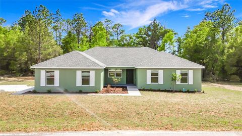 Photo of 23360 SW Tiger Lake Boulevard, Dunnellon, FL 34431 (MLS # OM714585)