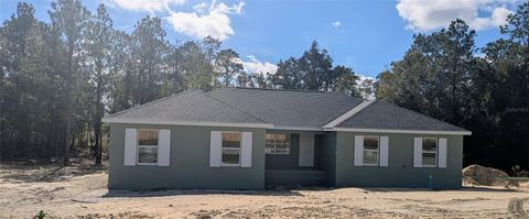 Photo of 23360 SW Tiger Lake Boulevard, Dunnellon, FL 34431 (MLS # OM714585)