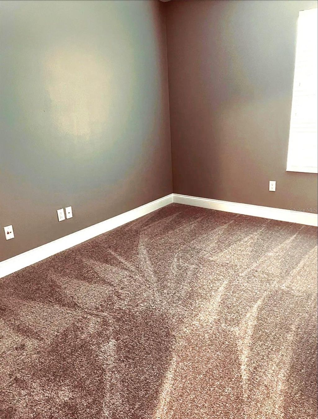 Photo of 6951 Brescia Way, Orlando, FL 32819 (MLS # O6384611)