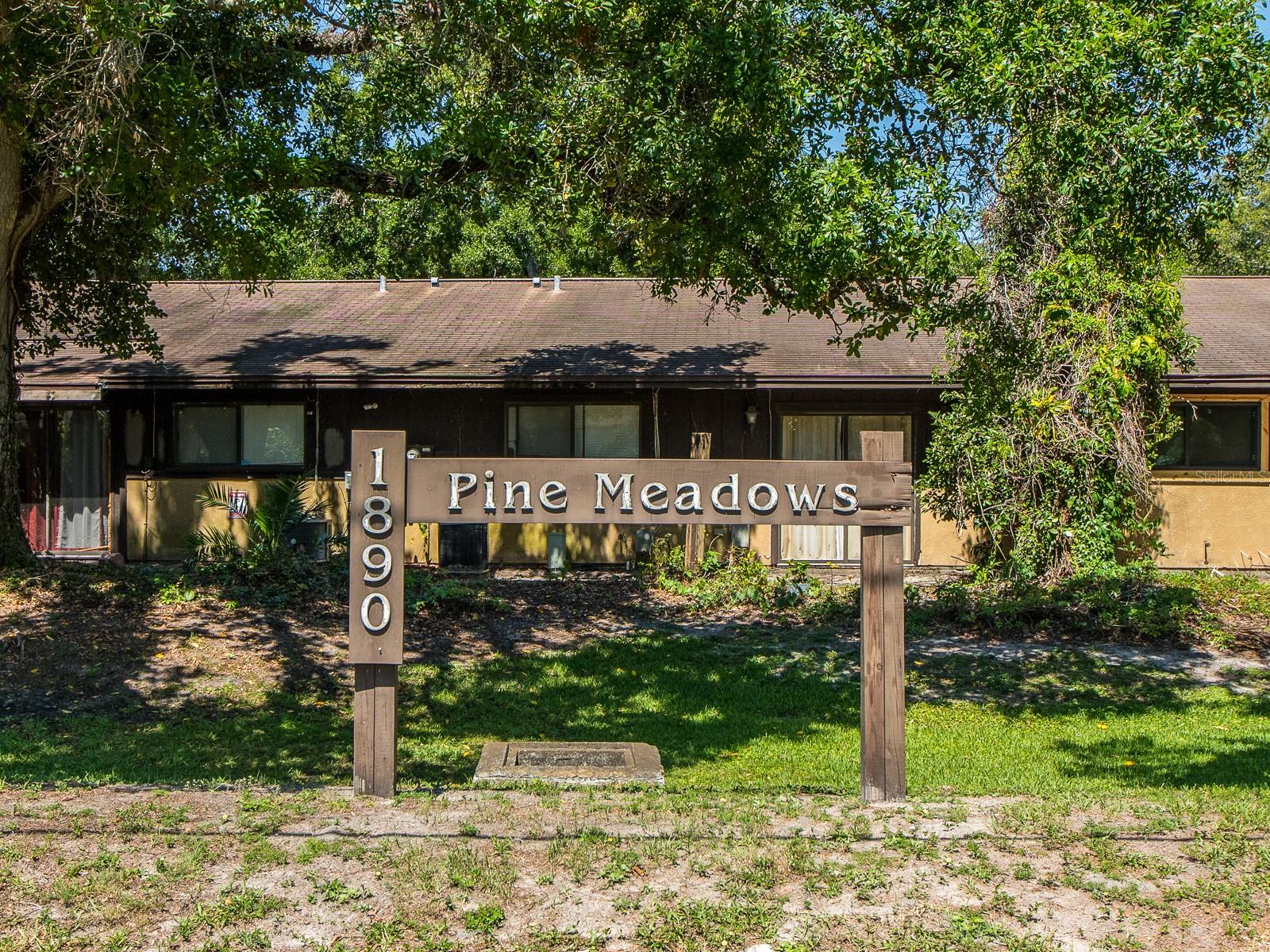 PINE MEADOW CONDO - Residential