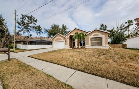 A home in TARPON SPRINGS