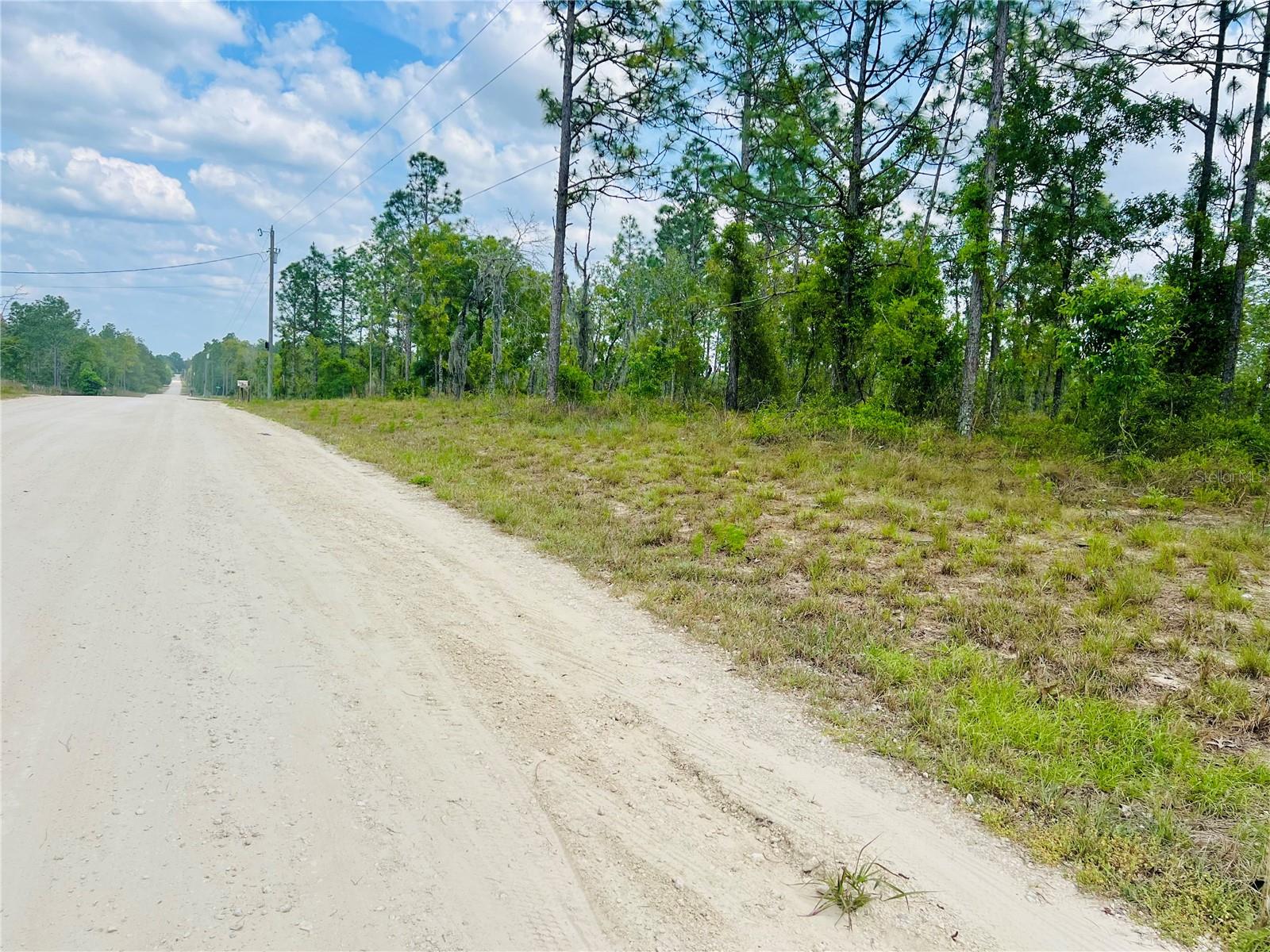 ALERT..ALERT...Builders, Developers , Investors & Others--Available Now FOR SALE A Beautiful 10-ACRE TRACT With (10) Side By Side 1-Acre Home Sites Located In The Subdivision Of Williston Highlands! You Can Purchase all Ten Acres -Or- Individual Lots. This Property is Zoned Rural Residential allowing For On Site Built Homes or Manufactured Homes with No HOA Offering You Flexibility In How You Use Your Property. These (10) One-Acre Side By Side New Construction Sites Are Elevated High and Dry with Beautiful Trees. This 10-Acre Tract is Located Off NE 4TH street, NE 131ST Terrace, NE 2ND Street & NE 132ND Terrace and Just A Beautiful 8 Mile Drive Into Williston For Shopping & Dining + More...Short Drive to Historic Dunnellon's Town Square and The New World Equestrian Center in Ocala, FL.