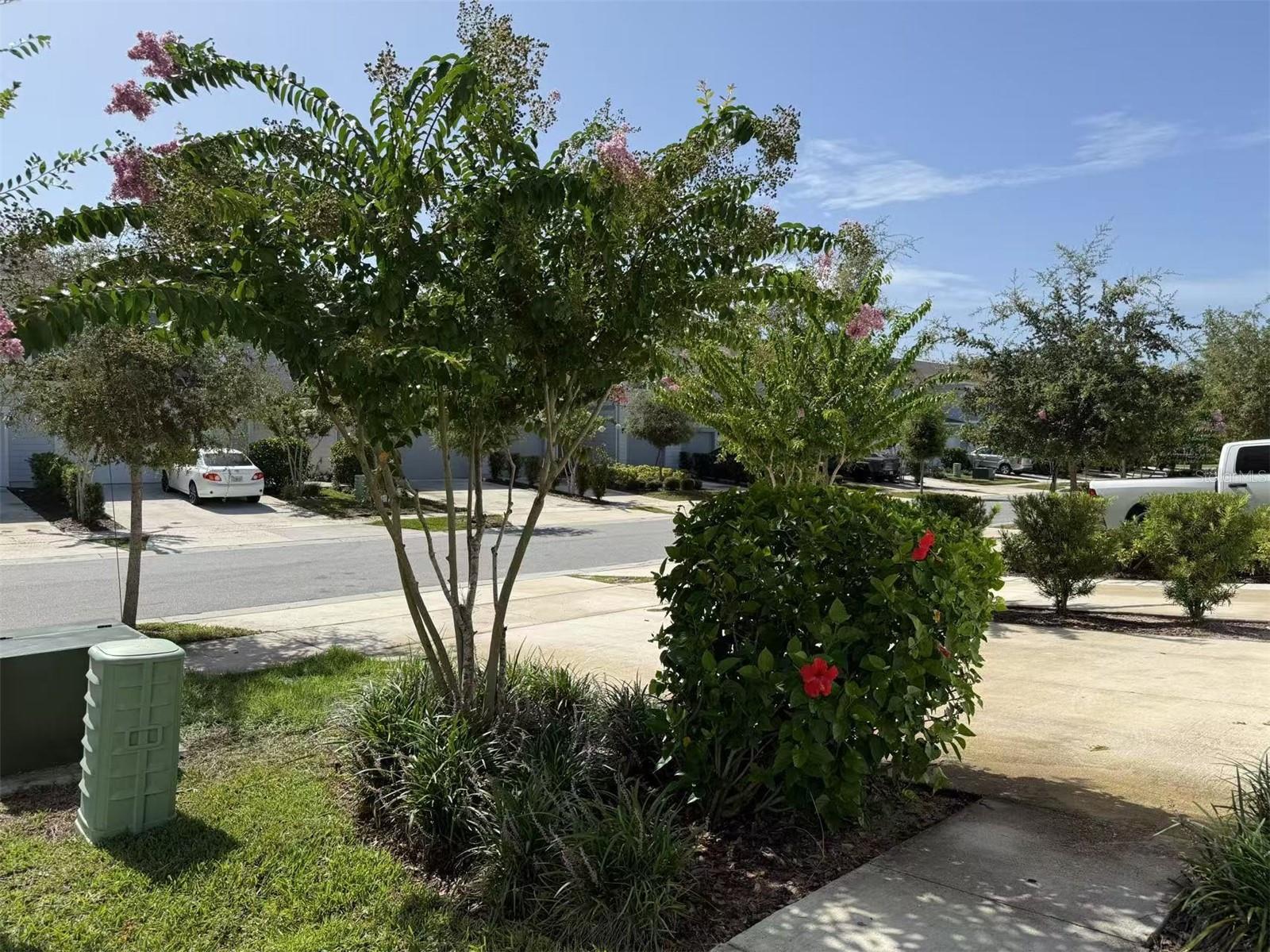 2602 BUENA VIEW ROAD