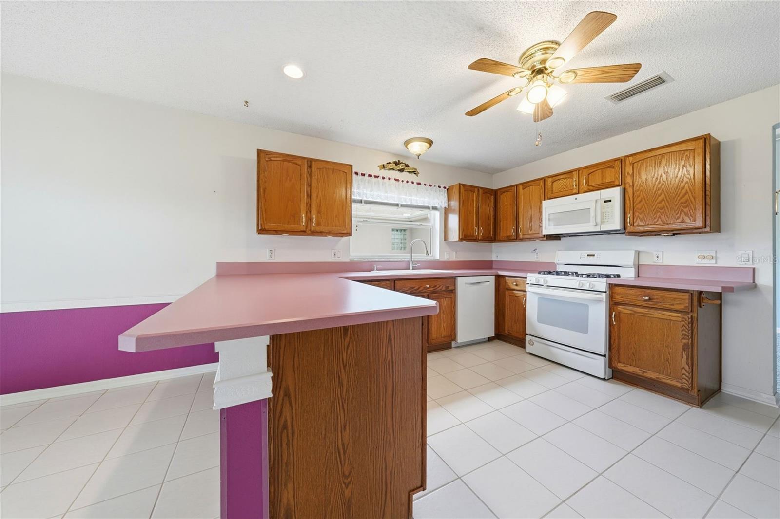 VILLAGES OF SUMTER - Residential