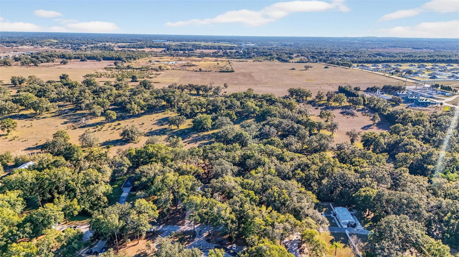 YE LITTLE WOOD - Residential