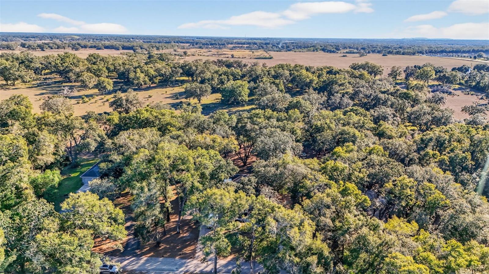 YE LITTLE WOOD - Residential