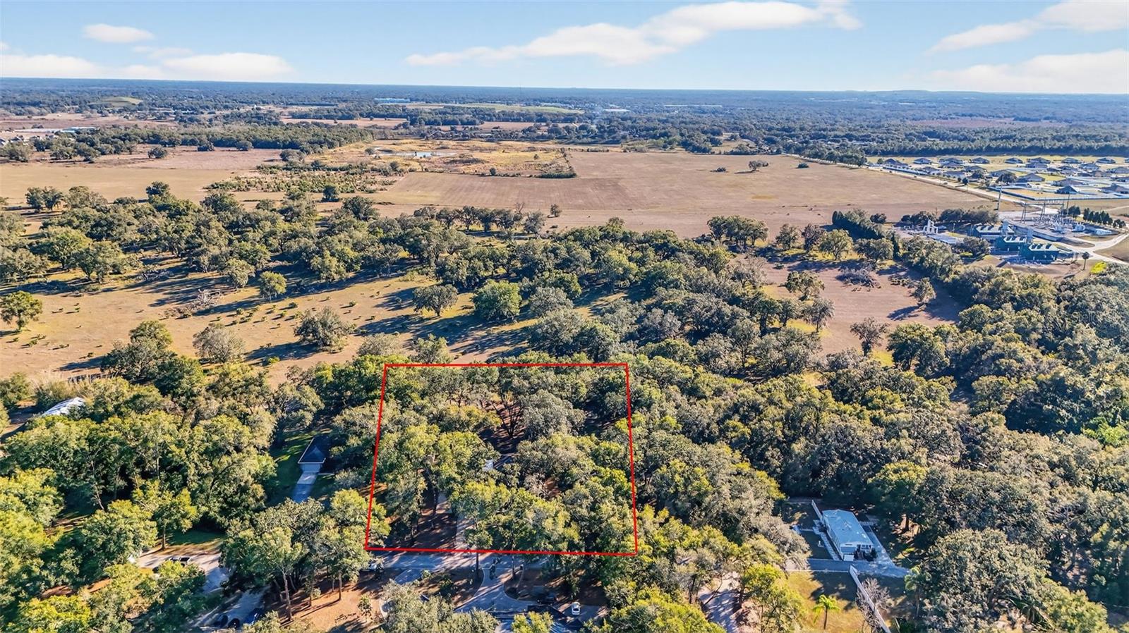 YE LITTLE WOOD - Residential