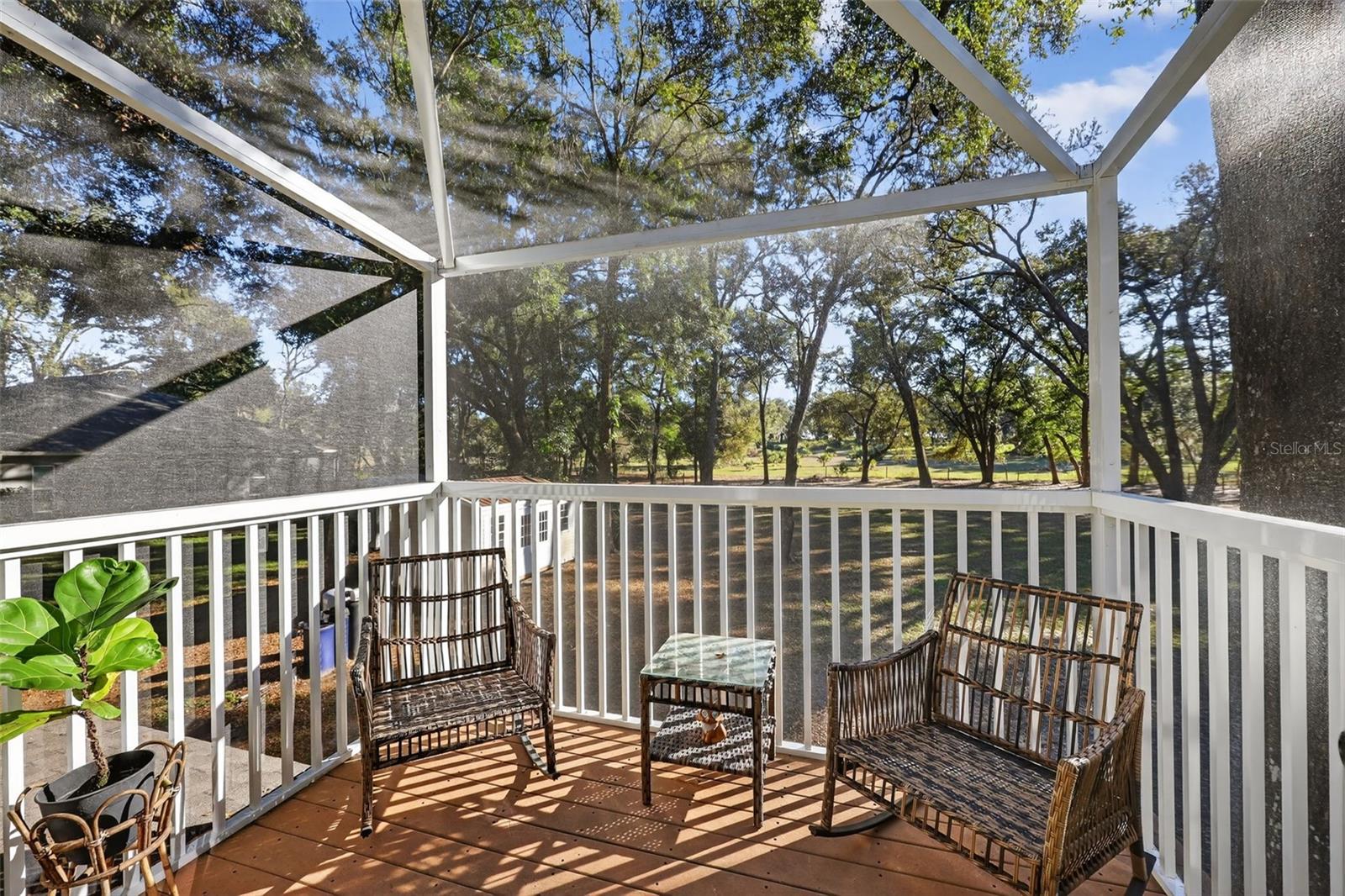 YE LITTLE WOOD - Residential