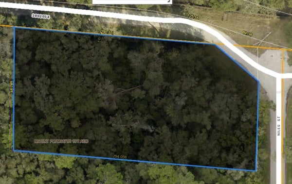 31699 NILES ST, SORRENTO, FL 32776 - Image 7d5cadaa2634ccfe62375bbe12a958bb/3387950901