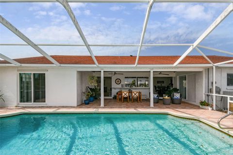 A home in APOLLO BEACH