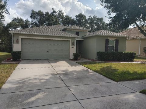 Photo of 4358 Antietam Creek Trail, Leesburg, FL 34748 (MLS # G5105131)