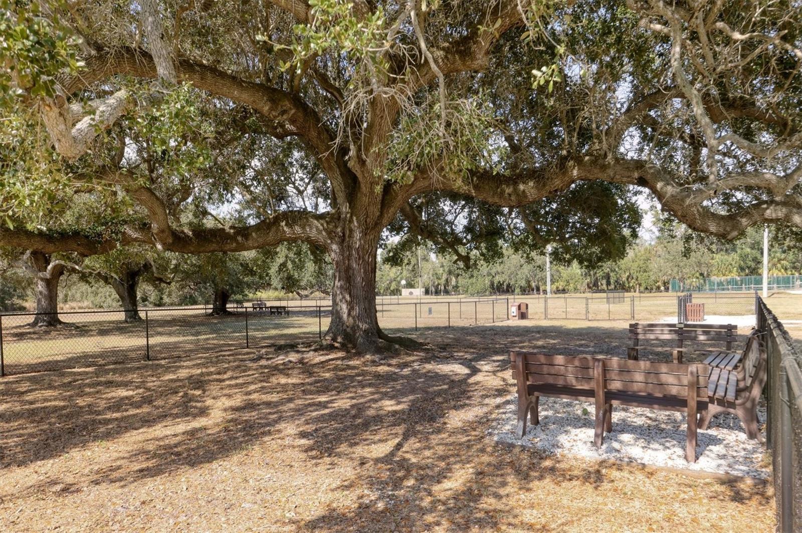 MORNINGSIDE - Residential