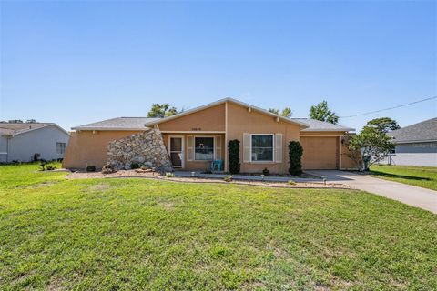 Photo of 11224 Sheffield Road, Spring Hill, FL 34608 (MLS # TB8487763)