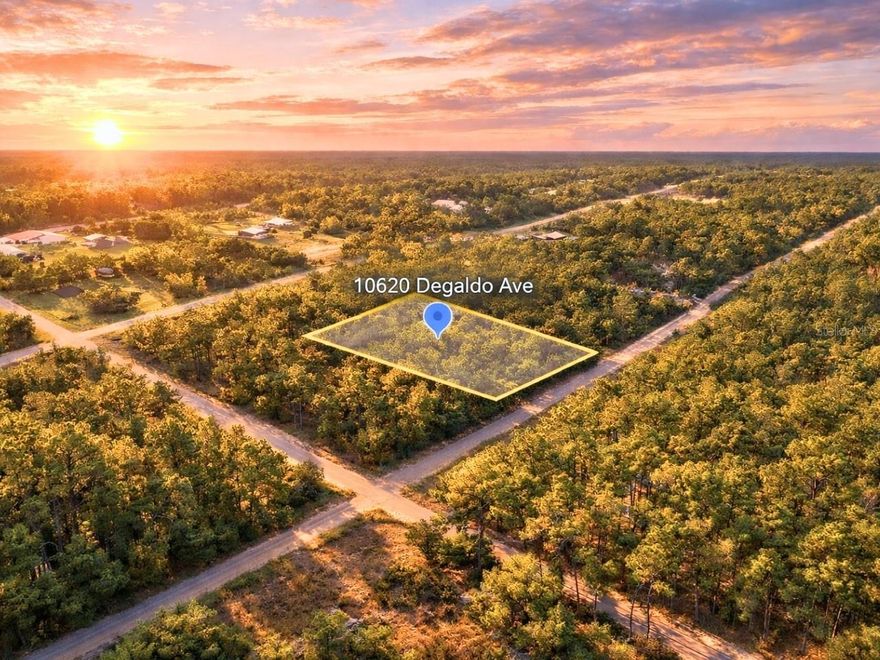 Great opportunity to own 1.14 Acre vacant lot located in the Flagler Estates area of Hastings, FL. This parcel offers potential for residential development or long-term investment on a lightly developed street. Identified as high and dry with no wetlands per map review. Electric service available. Direct access from Palatka Boulevard provides convenient connectivity. No HOA, no CDD fees, and no deed restrictions. Zoned residential per county guidelines, allowing permitted housing types. Located near Deep Creek and the St. Johns River, with convenient access to St. Augustine, Palm Coast, and nearby beaches. Surrounded by natural landscapes, offering a quiet setting with future growth potential. Make your dream to own land come true today with this affordable property!