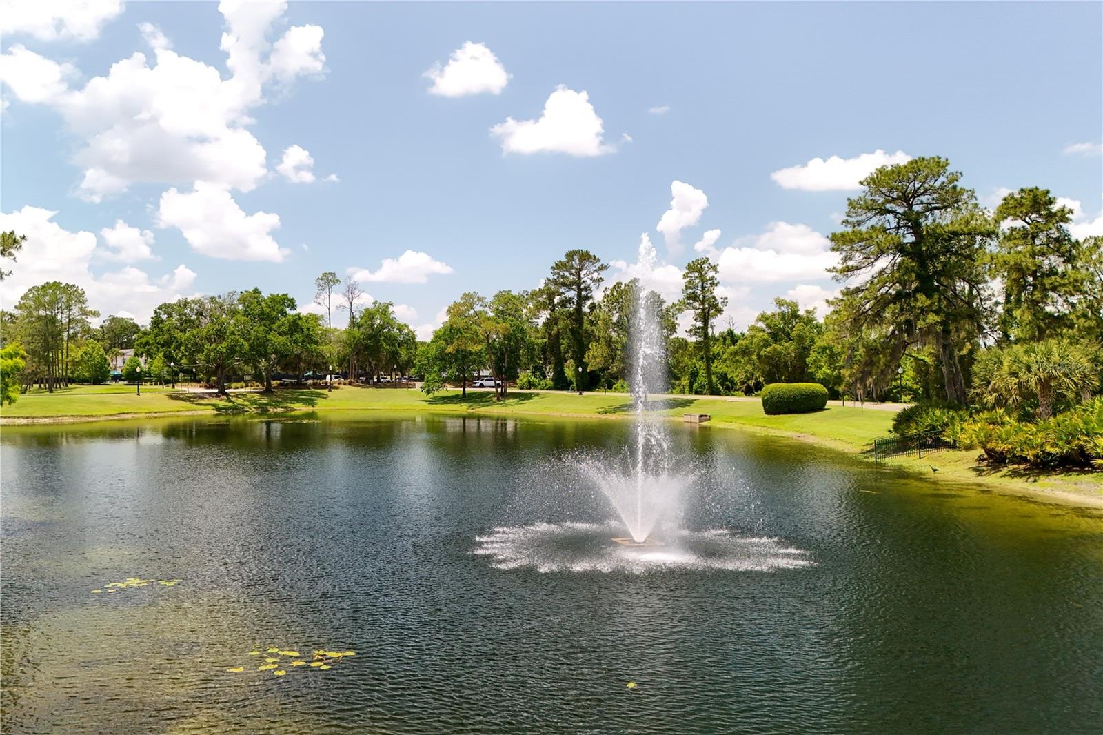 WILLOWBROOK VILLAGE - Residential