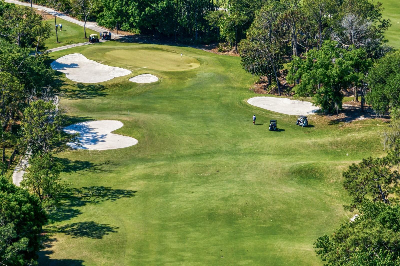 HUNTER'S GREEN - Residential