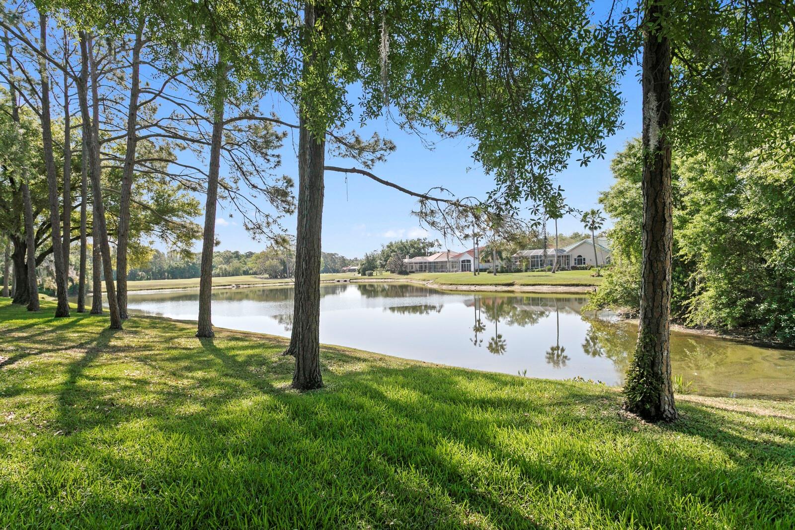 HUNTER'S GREEN - Residential