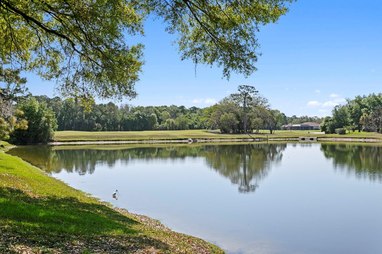 HUNTER'S GREEN - Residential