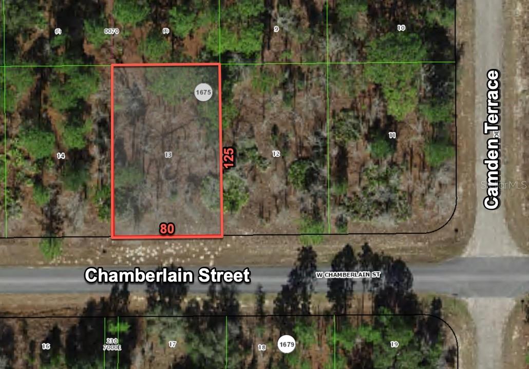 Summer Blowout! Massively discounted to sell quickly. High and dry .23 acre residential lot in Citrus Springs. Invest in your future! Located in Citrus County, in the heart of Florida's Nature Coast. Boating, fishing, scuba, hiking, biking, and an outdoor paradise await. Yet, shopping, dining, and excellent healthcare facilities are all nearby. Ocala, Orlando, and the Tampa Bay area are all an easy commute.
2273 W Chamberlain Street: From the corner of Lecanto Highway and W Hampshire Blvd, head north on W Hampshire Blvd for 1.6 miles. Right (North) on N Varsity Ave for .4 mile. Left (West) on W Chamberlain Street. The subject is on your right, approximately .3 miles down. This is the 3rd vacant lot (175 feet) west of the corner of Chamberlain and Camden.
