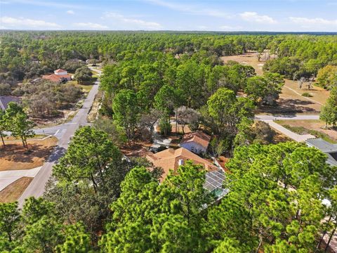 Tiny photo for 3563 W Blossom Drive, Beverly Hills, FL 34465 (MLS # W7883577)