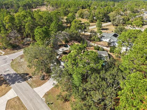 Tiny photo for 3563 W Blossom Drive, Beverly Hills, FL 34465 (MLS # W7883577)