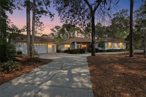 Tiny photo for 3563 W Blossom Drive, Beverly Hills, FL 34465 (MLS # W7883577)