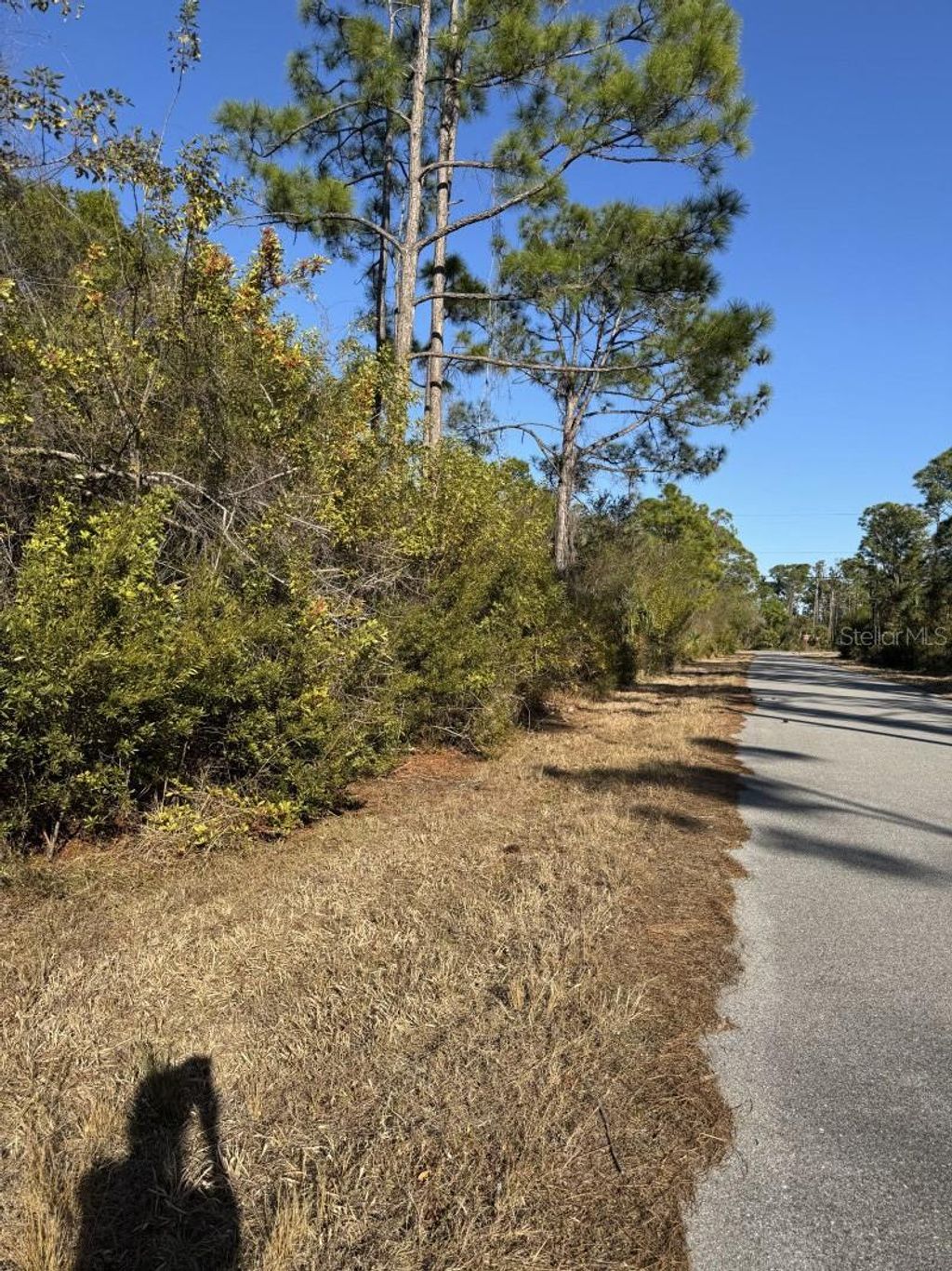 Photo of 13128 Selzer Avenue, Port Charlotte, FL 33953 (MLS # A4681969)