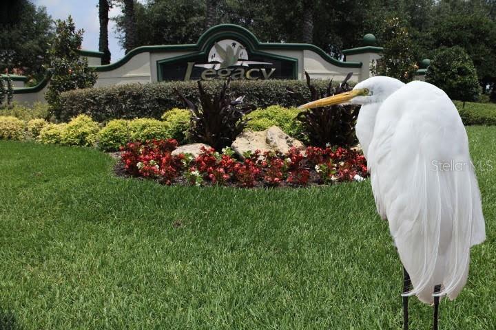 LEGACY LEESBURG - Residential