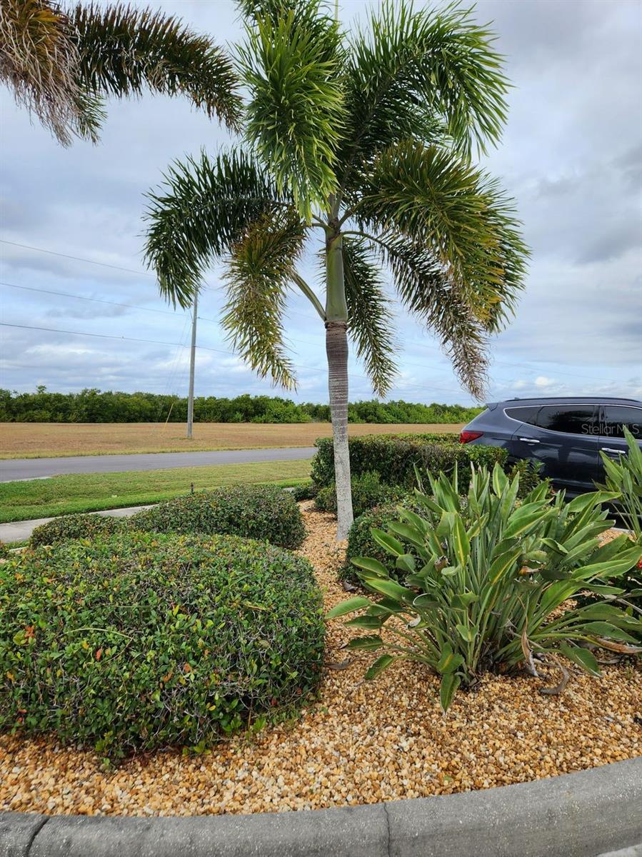 HERITAGE OAK PARK 01 REP - Residential