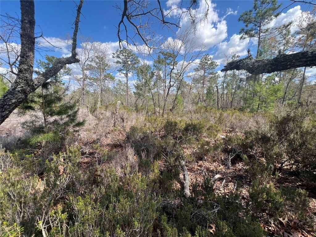 Photo of 131 Quail Way, Hawthorne, FL 32640 (MLS # GC538318)