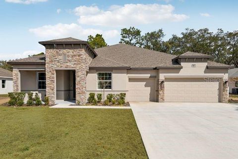 Photo of 3454 Winesap Way, Lakeland, FL 33810 (MLS # O6425497)