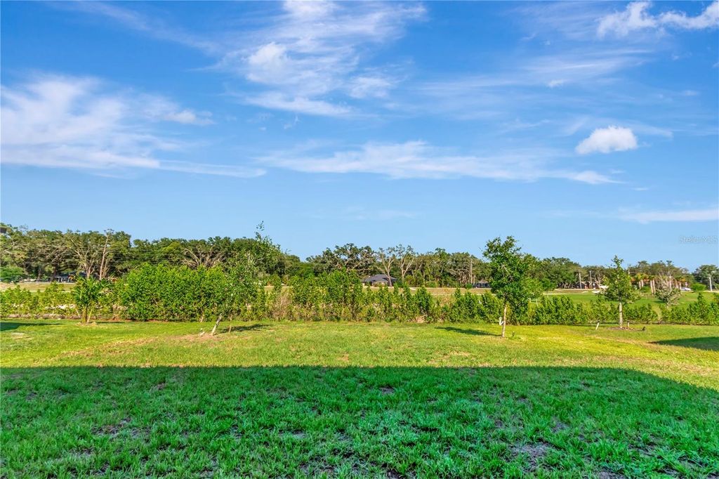 Photo of 9734 Branching Ship Trace, Wesley Chapel, FL 33545 (MLS # TB8384143)