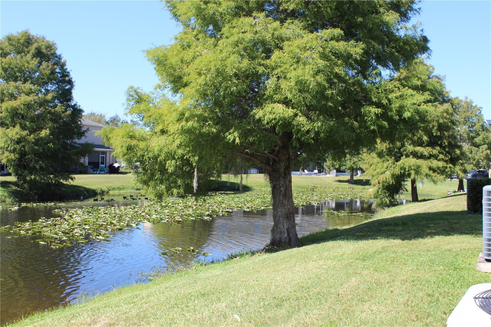 SWAN VIEW TWNHMS - Residential