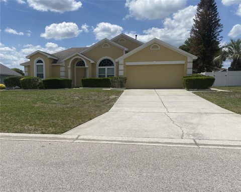 110 VIA DEL SOL DRIVE N DAVENPORT FL 33896