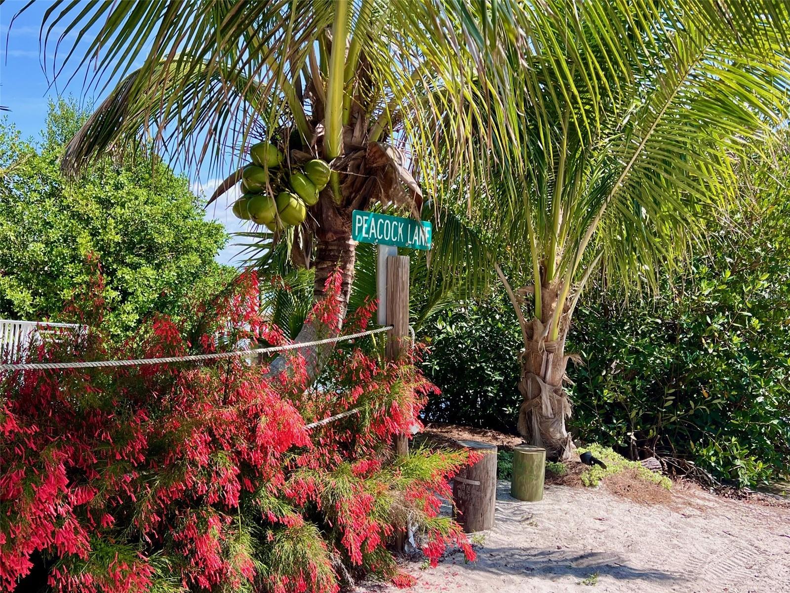 GULF ESTATES - Residential