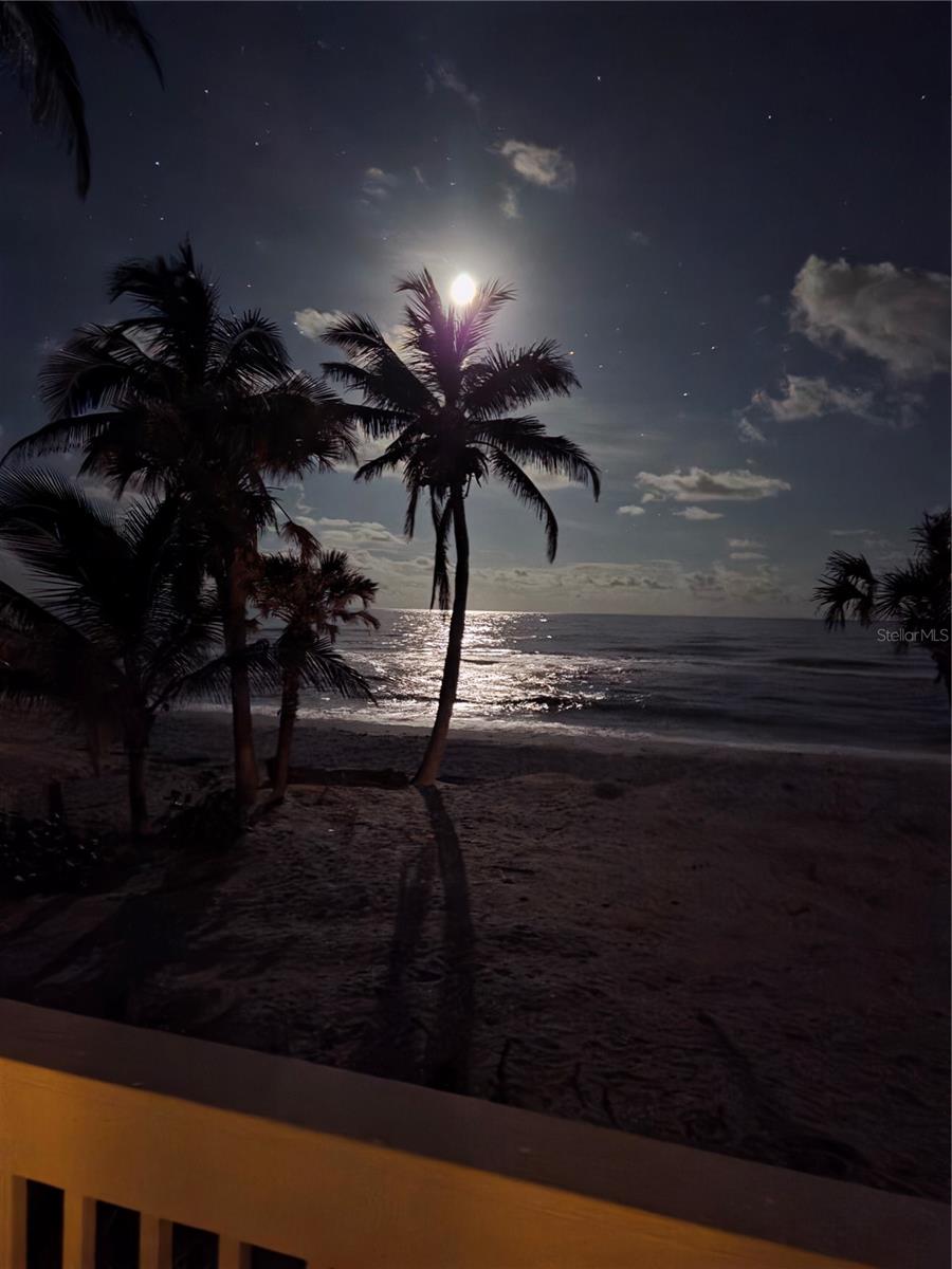 GULF ESTATES - Residential