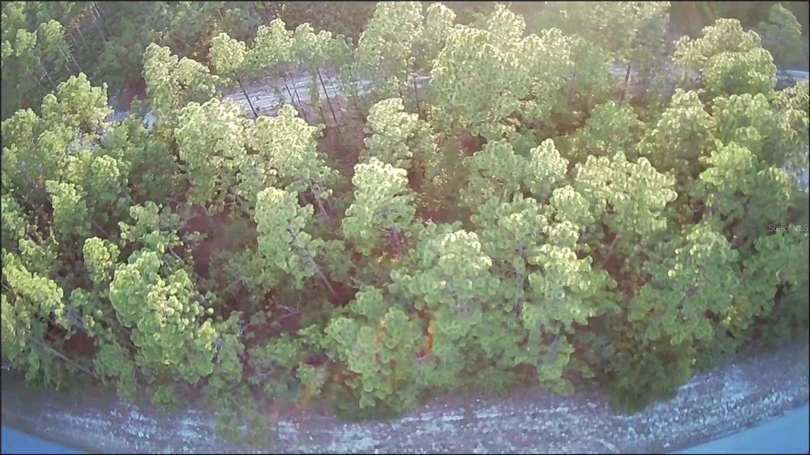 MARION OAKS UN 12 - Land