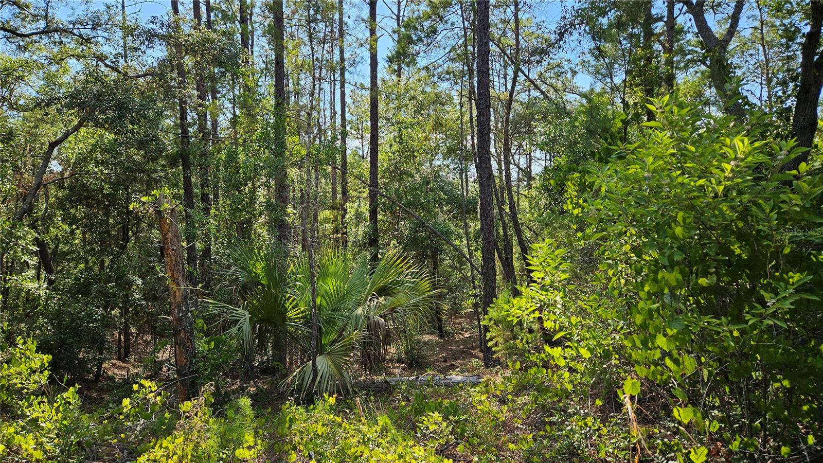 MARION OAKS UN 12 - Land