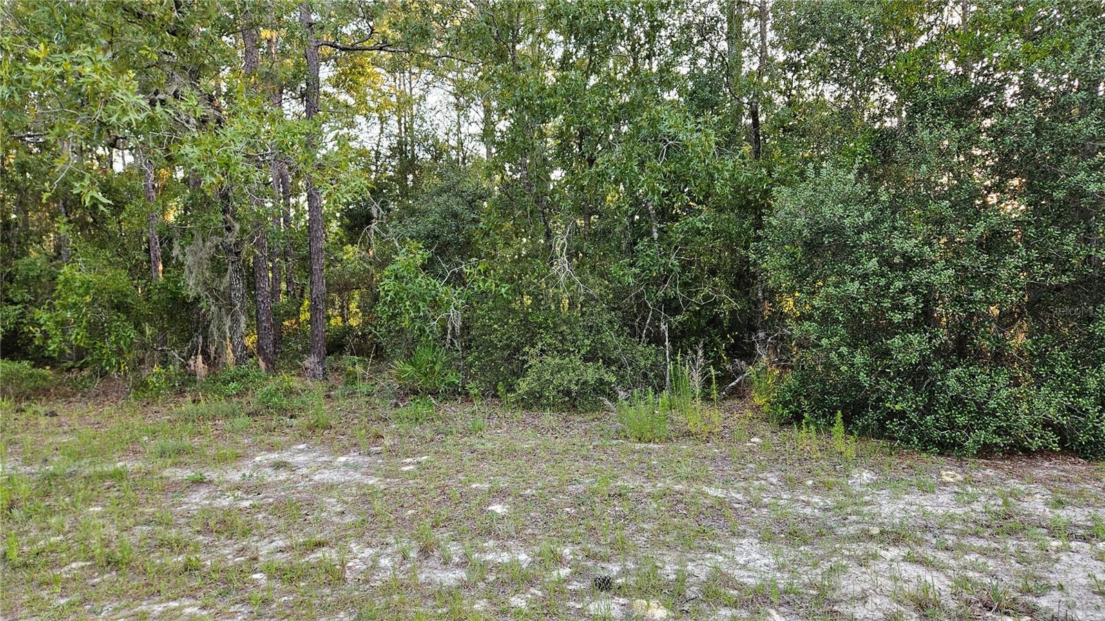 MARION OAKS UN 12 - Land