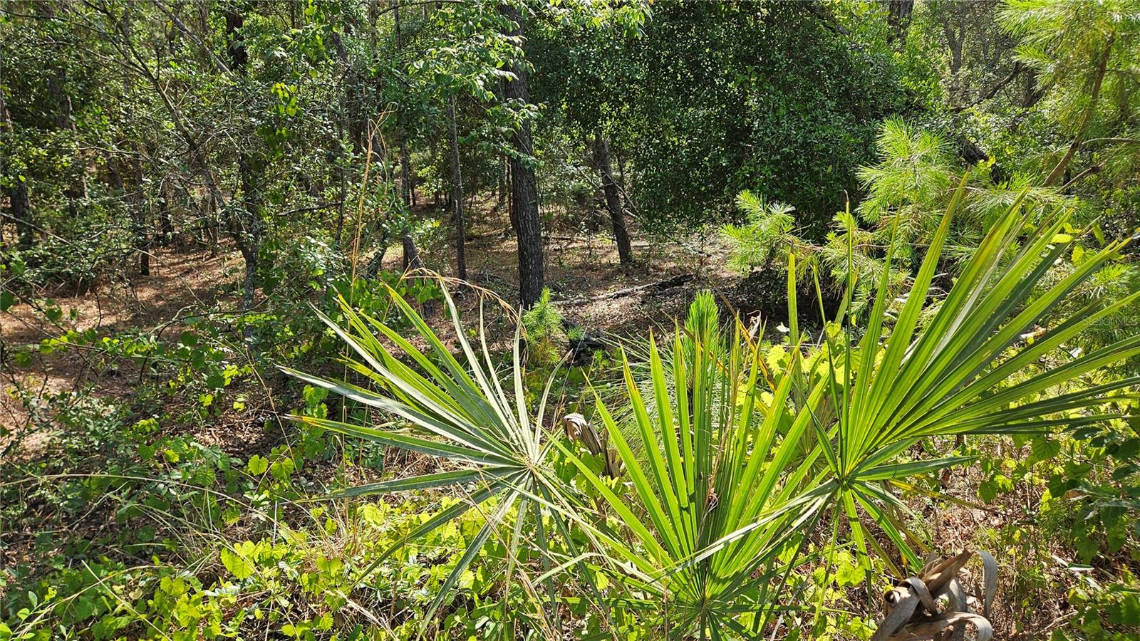 MARION OAKS UN 12 - Land