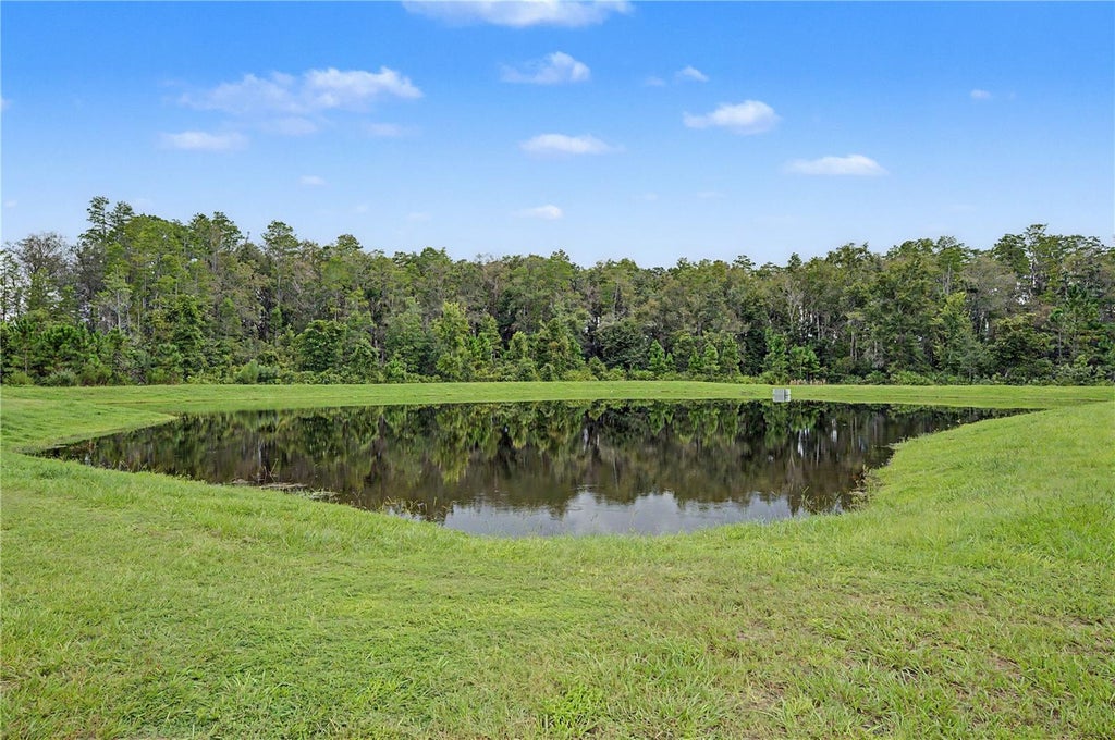 Photo of 10906 Rustic Eve Court, Land O Lakes, FL 34638 (MLS # TB8545217)
