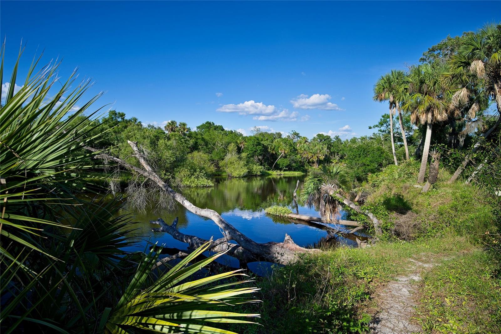 HOURGLASS LAKE ESTATES - Residential