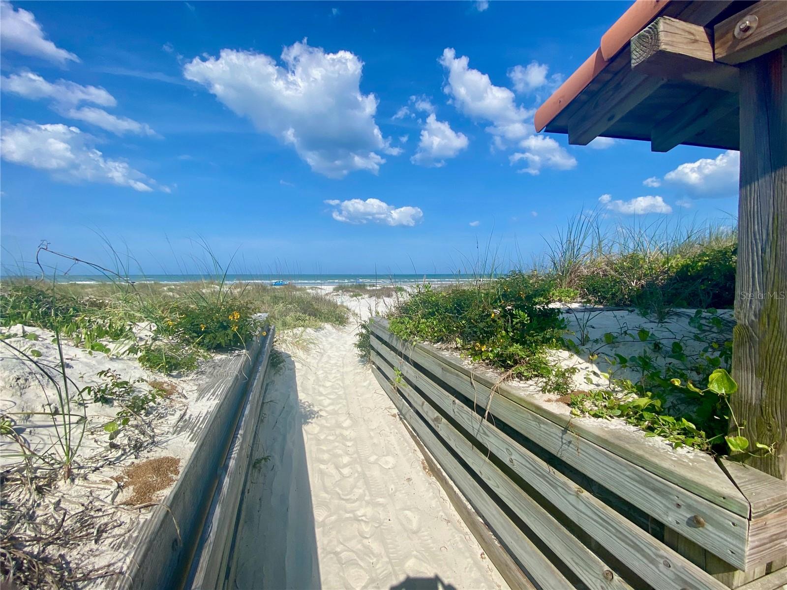 250 MINORCA BEACH WAY 206