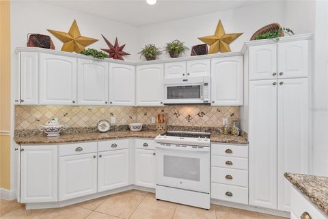 Tiny photo for 2053 Beecher Path, The Villages, FL 32162 (MLS # G5104145)