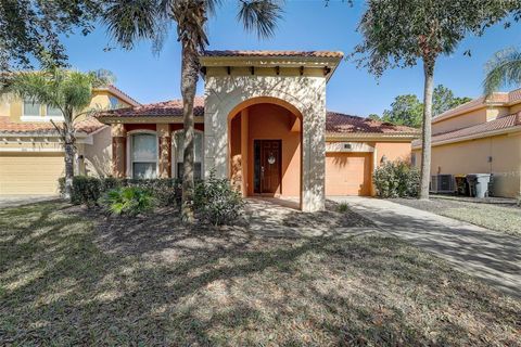 334 ORANGE COSMOS BOULEVARD DAVENPORT FL 33837