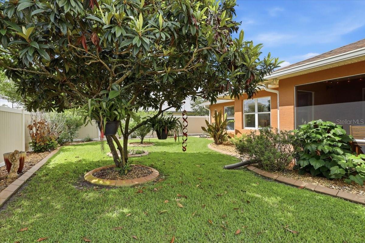 PALM COAST SEC 63 - Residential