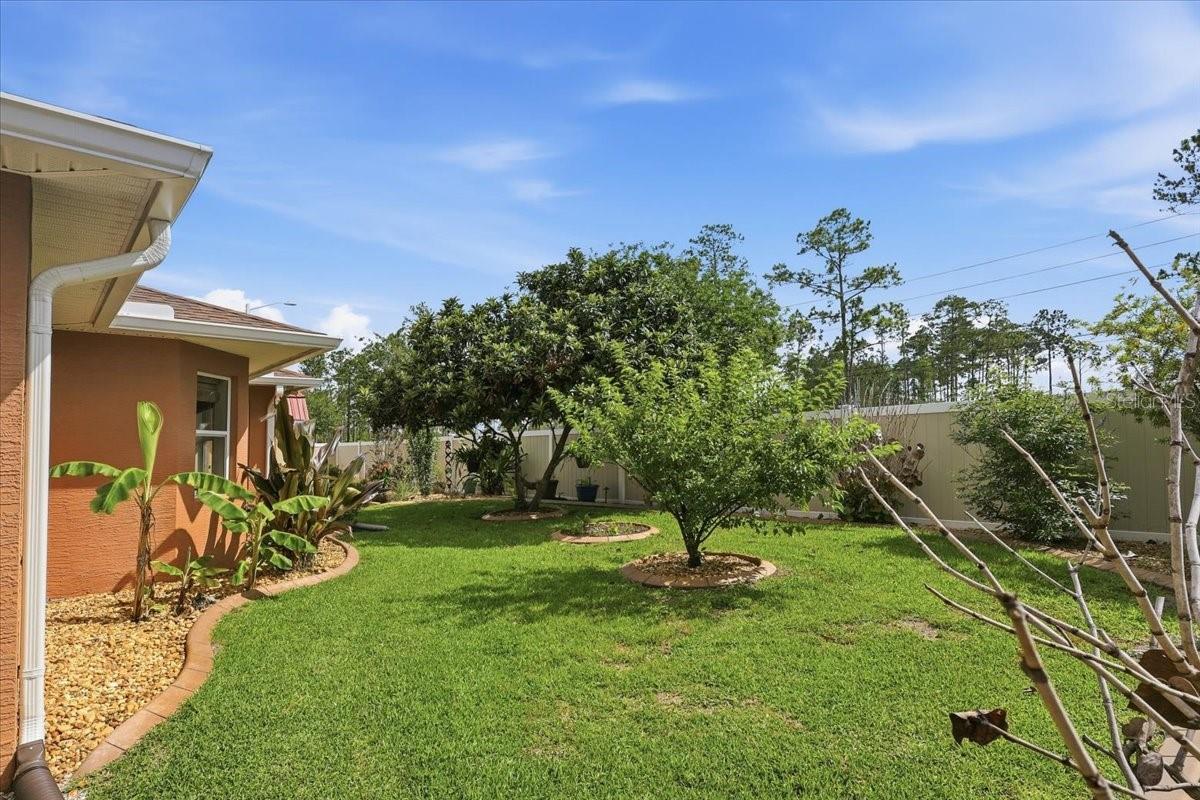 PALM COAST SEC 63 - Residential