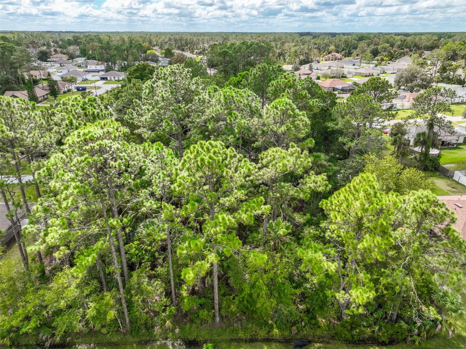 Discover a fantastic opportunity with this .23-acre wooded lot located in a peaceful Palm Coast desirable Pine Grove area.This resident's beautiful perfectly shaped lot measures 80 by 125 feet and is located outside the flood zone. Nestled among established homes and surrounded by natural beauty, this vacant parcel offers a serene setting for your next investment or residential build. Public utilities available nearby with no HOA or CDD fees.
Ideally located just 10 minutes from the beaches and only 5 minutes from shopping centers, restaurants, hospitals, the movie theater, and easy access to I-95 or route 100 and US-1.
Build your dream home on your very own slice of paradise.